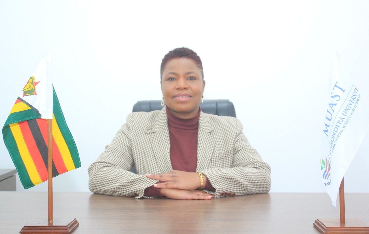 Natasha Tashinga Kurwakumire, Chairperson